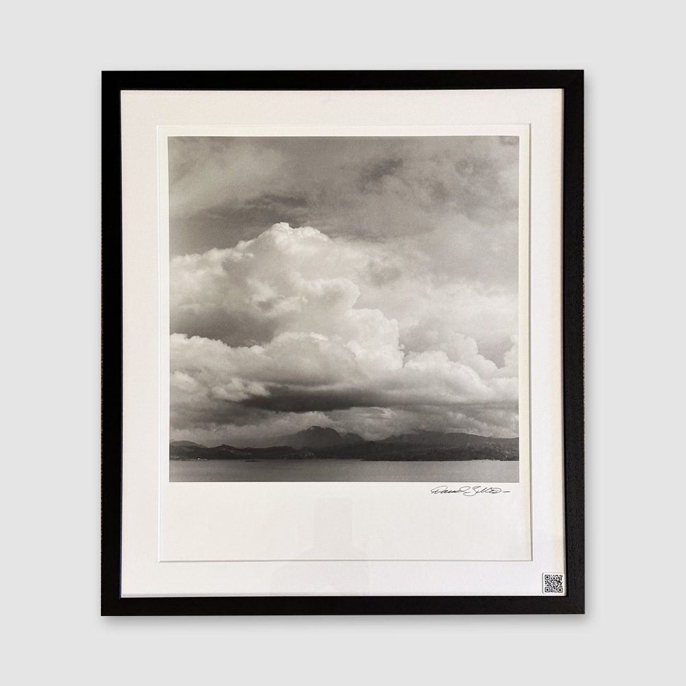 WESTERN ROSS (SELENIUM TONED SILVER GELATIN PRINT)